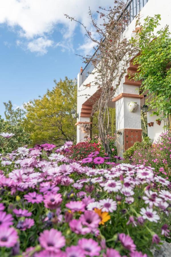 Los Cactus Эль-Гастор Экстерьер фото